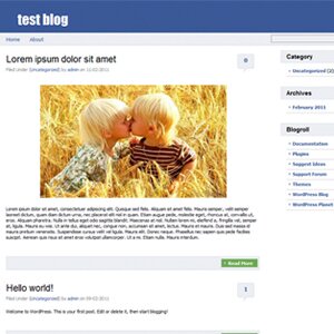 Facebook WordPress Theme
