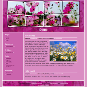 Flowers Pink WordPress Theme