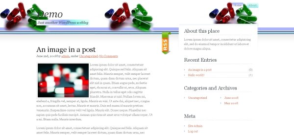 Pills Blog WordPress Templates